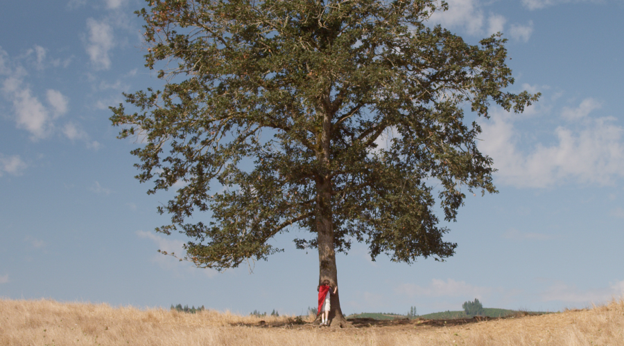 Retirement Account Decision Tree