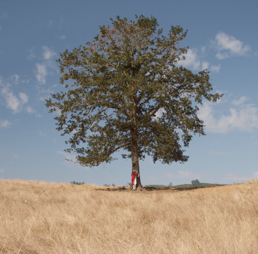 Retirement Account Decision Tree